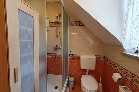 Трехкомнатная квартира в Новых Прулях: 9