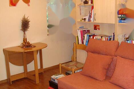 Студия-квартира Шишка: 1