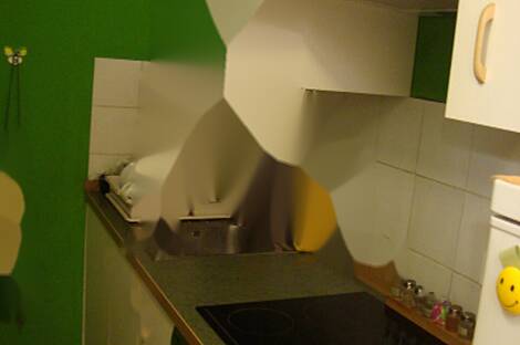 Студия-квартира Шишка: 2