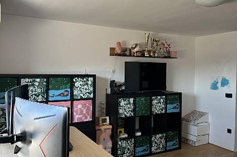 Жилье на две комнаты Шишка: 3