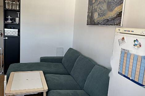 Жилье на две комнаты Шишка: 4