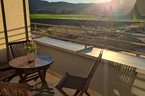 Однокомнатная квартира Шишка: 2