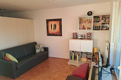 Однокомнатная квартира Шишка: 5