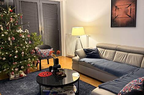 Трехкомнатная квартира в центральной части Любляны: 7