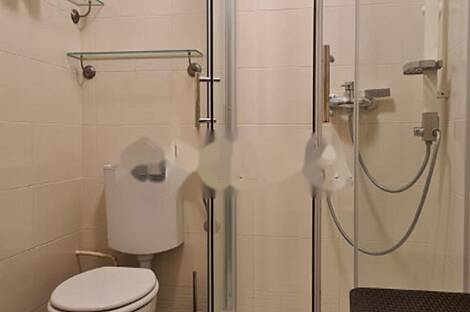 Дом с более чем пятью комнатами в Белграде: 17