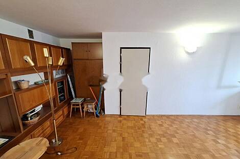 Трёхкомнатная квартира Шишка: 10