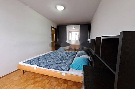 Трёхкомнатная квартира Шишка: 15