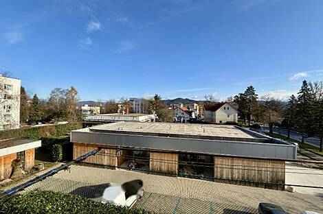 Однокомнатная квартира в Вевче: 5