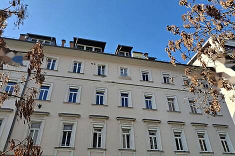 Центральная Любляна 5+ комнатная квартира: 25