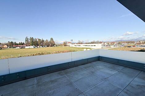 Жильё в Новом Поле: 11