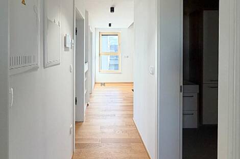 Жильё в Новом Поле: 14