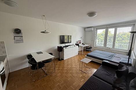 Однокомнатная квартира Шишка: 4