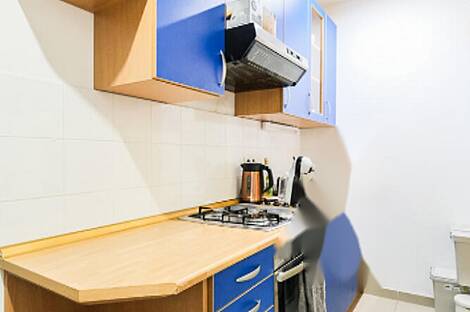 Дом под офис, Шишка: 6