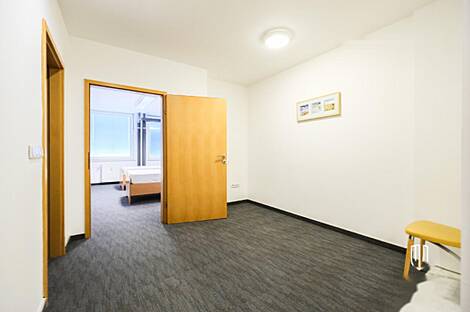 Дом под офис, Шишка: 9