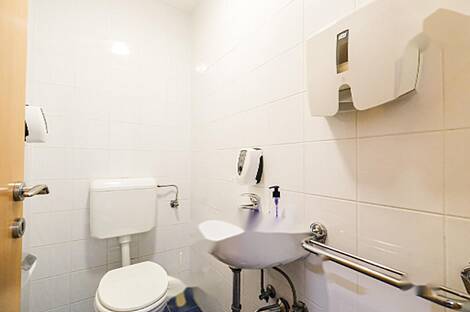 Дом под офис, Шишка: 11