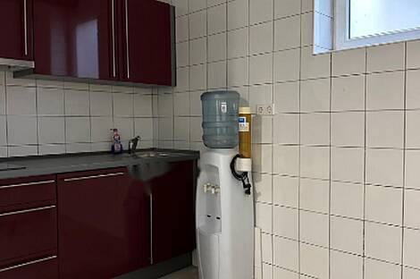 Дом под офис, Шишка: 20