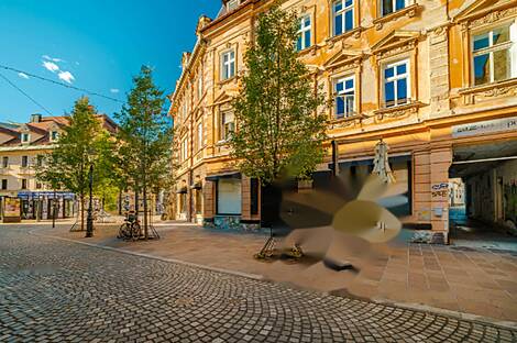 Центральное коммерческое пространство: 14