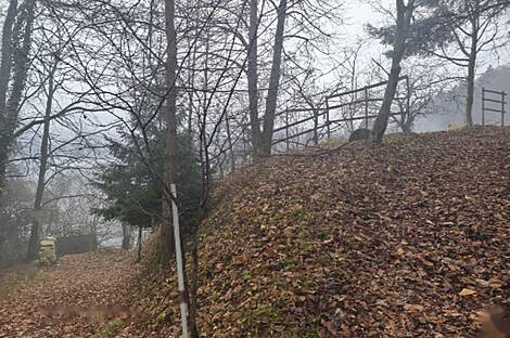 Дом, Чемшеник, Ржишче: 13