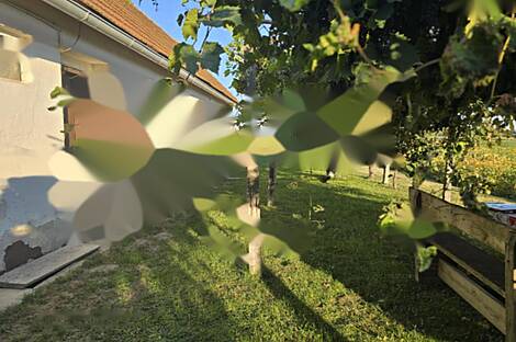 Жилье с террасой НовыйМиховцы: 1