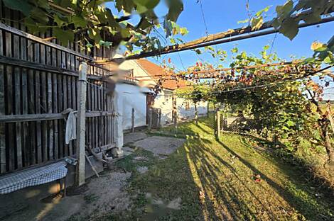 Жилье с террасой НовыйМиховцы: 7