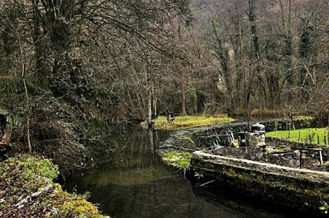 Дом Врхпечь: 3