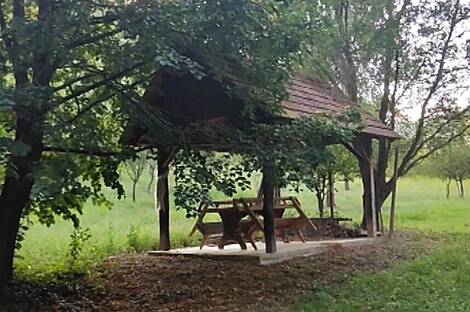 Дом в Бизелско: 7