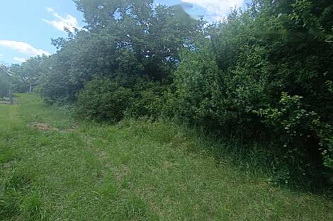 Дом, ферма Кобиле: 5