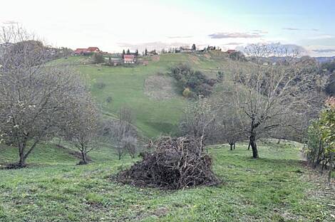 Дом в деревне Градища: 11