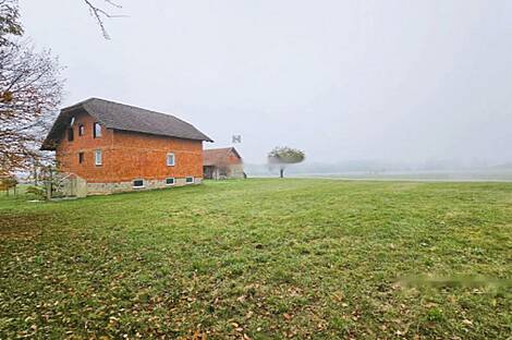 Дом, хозяйство Ново-Ставешинцы: 4