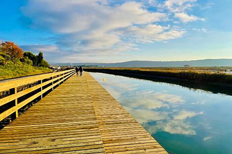 Трехкомнатная квартира на улице Сечевых.: 2