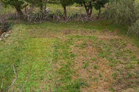 Дом в местечке Верхние Шкофии.: 7