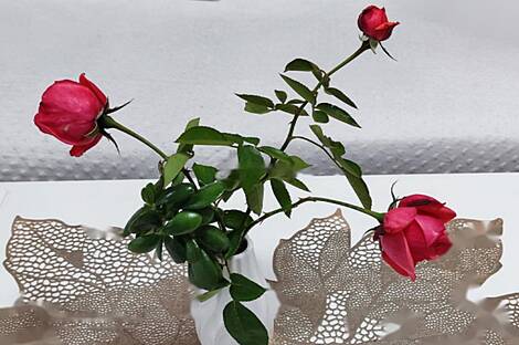 Квартира в Бертоки с тремя комнатами: 16