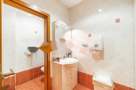 Торговый объект Шишка: 8