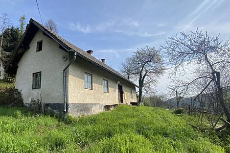Дом в Козминцах возле Птуя: 1