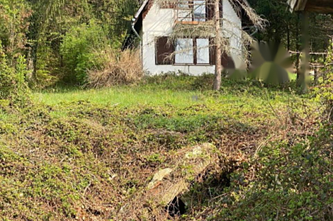 Дом в Козминцах возле Птуя: 5