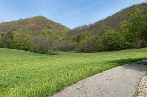 Дом в Козминцах возле Птуя: 13