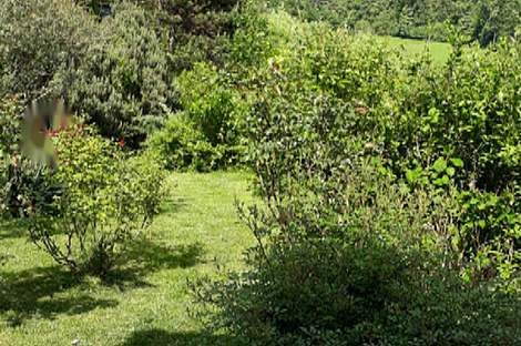 Дом с террасой на Руднике: 5