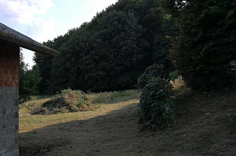 Дом, Кошаровци, Горичко: 6