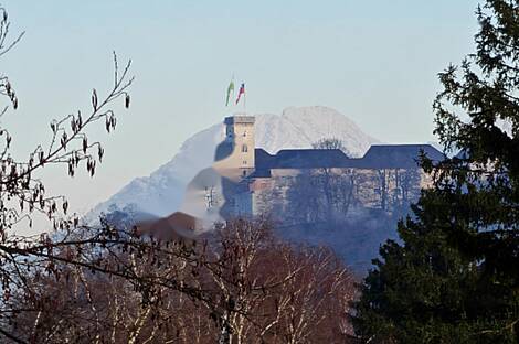 Другой Новый Трново, дом: 13