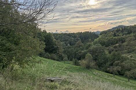 Дом, сельское хозяйство Златече.: 10