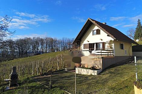 Дом, Крыша.: 2