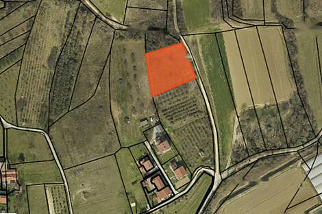 Дом Драгонья Ферма: 3