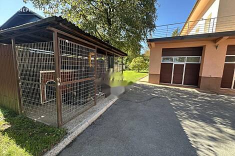 Ежица, дом: 13