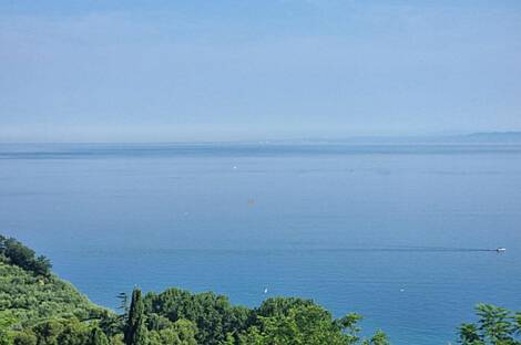 Дом в городе Изола: 5