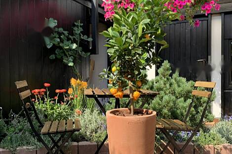 Мургле: дом с террасой: 6