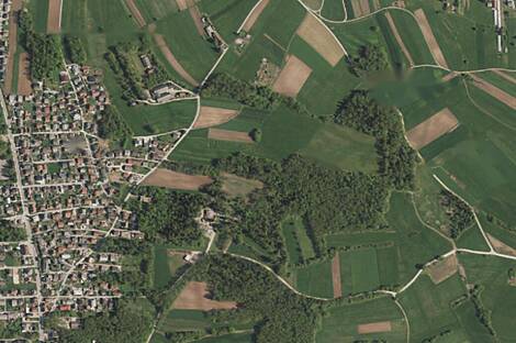 Здание в Новом Поле: 1