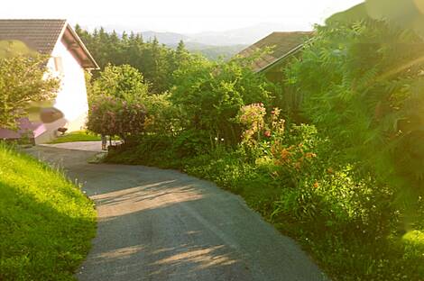 Дом, усадьба Равне, полицмейстер: 5
