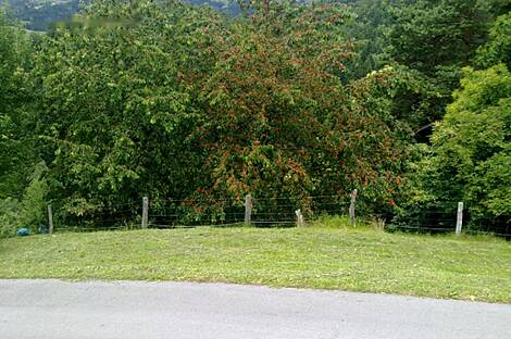 Дом, усадьба Равне, полицмейстер: 10