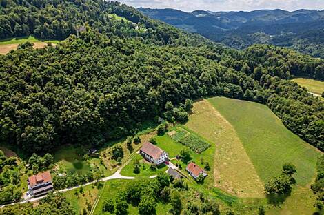 Дом, агроусадьба Рифник, Шентюр возле Целье.: 8