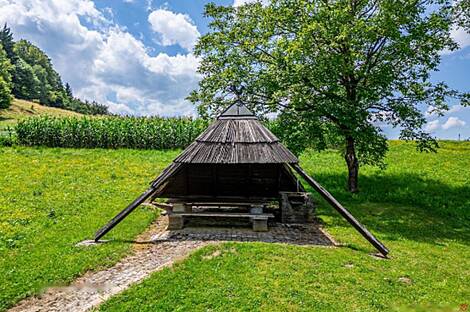 Дом, агроусадьба Рифник, Шентюр возле Целье.: 10